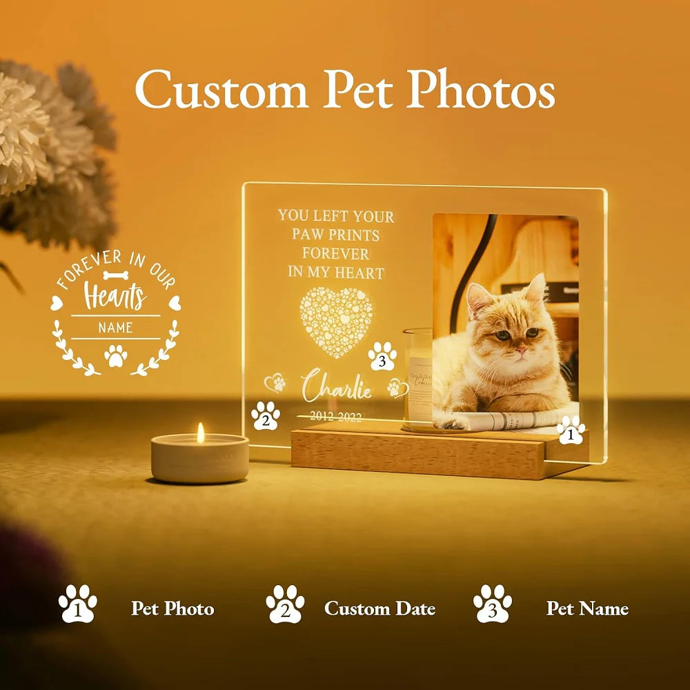 CustomIized Pet Photo Frame 3D Acrylic Lamp